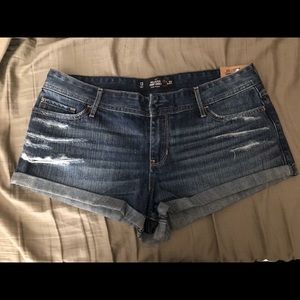 Hollister Shorts